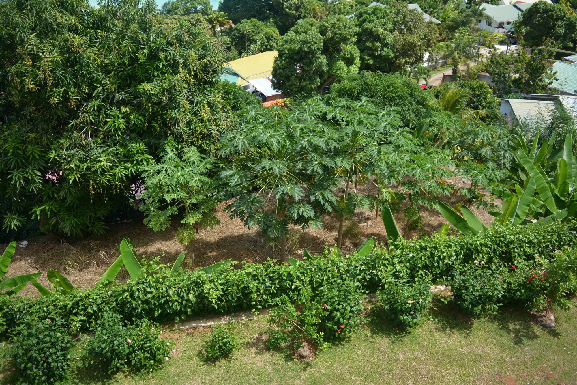 Manfiyo Guest House Anse Boileau Exterior foto
